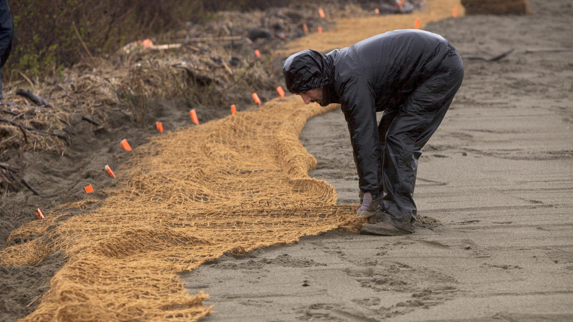 clilmate-change-restoration-beach-23.jpg